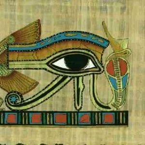 Meet your Posher, Dee